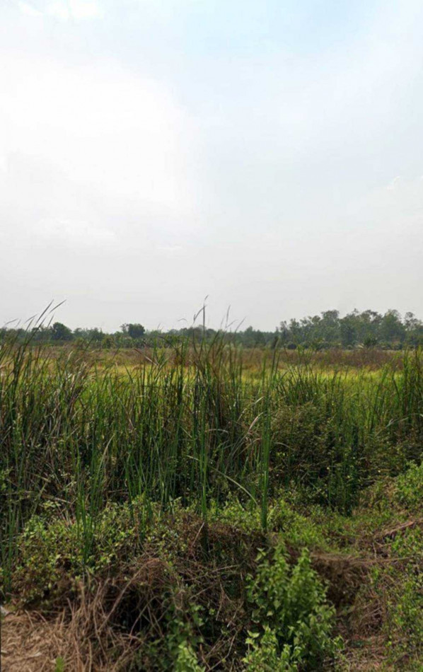 Land for sale, Khlong Hok East 34/1, 2 rai, near Big C warehouse. – รูปที่ 3