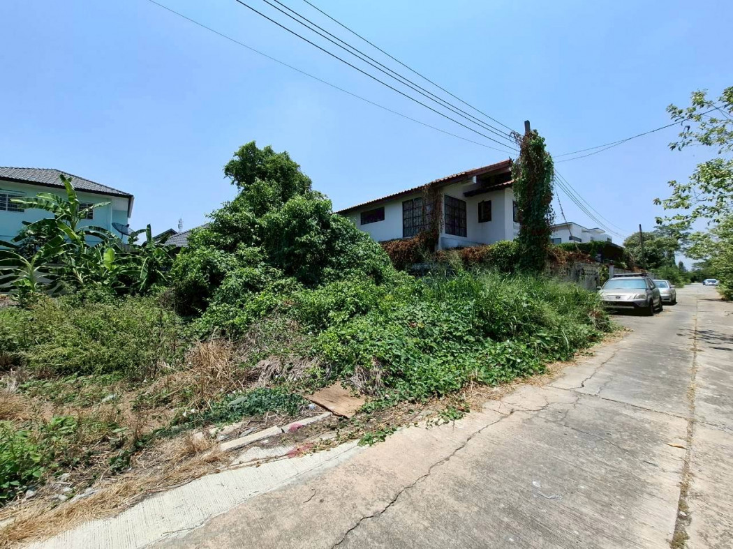 ขาย ที่ดิน หมู่บ้านสินพัฒนาธานี ทวีวัฒนา 100 ตรว เหมาะสร้างบ้าน DD – รูปที่ 2