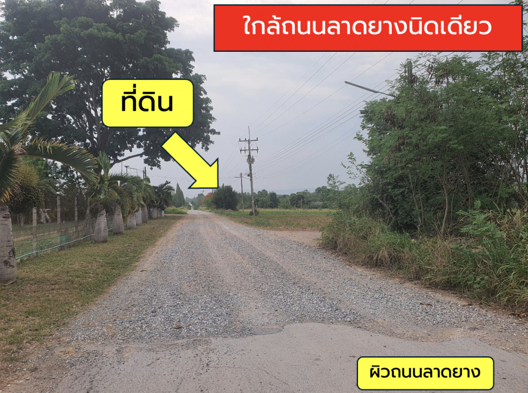 ขาย ที่ดิน เขาใหญ่ ต.หนองสาหร่าย อ.ปากช่อง 8 ไร่ ใกล้ถนนใหญ่ 4 เลน เพียง 2.4 กม. – รูปที่ 2