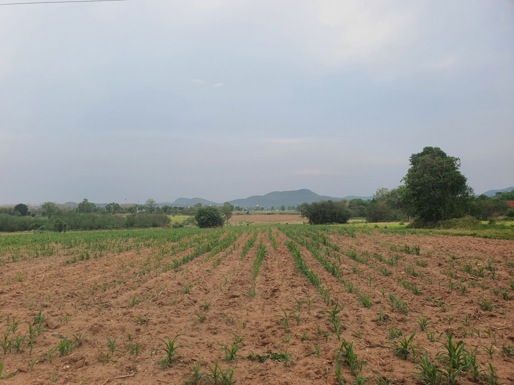 ขาย ที่ดิน เขาใหญ่ ต.หนองสาหร่าย อ.ปากช่อง 8 ไร่ ใกล้ถนนใหญ่ 4 เลน เพียง 2.4 กม. – รูปที่ 3