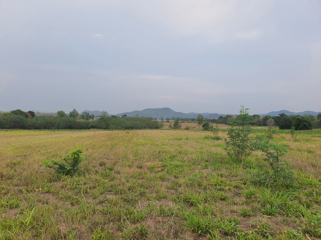 ขาย ที่ดิน เขาใหญ่ ต.หนองสาหร่าย อ.ปากช่อง 8 ไร่ ใกล้ถนนใหญ่ 4 เลน เพียง 2.4 กม. – รูปที่ 4