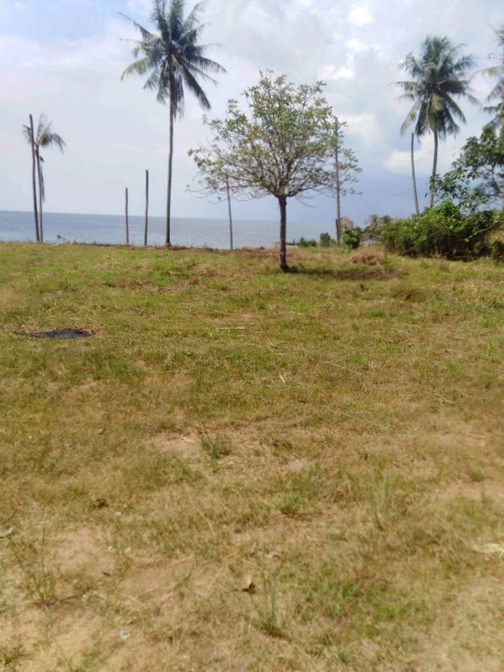 Land for Sale in Trat Province, Seafront 1 Rai 1 Ngan 59 Sq.wah, Near Ao Tan Khu and Koh Chang Pier – รูปที่ 4