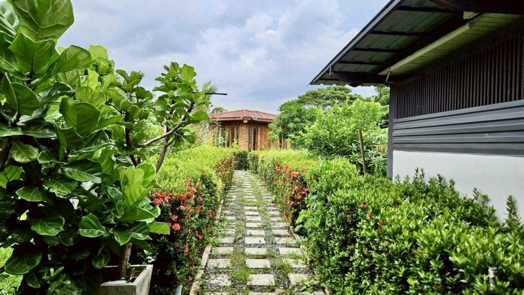 ขาย บ้านเดี่ยว นิมิตใหม่ 40 150 ตรม 1 ไร่ 25 ตรว ใกล้เมือง นิมิตใหม่ 40 – รูปที่ 4