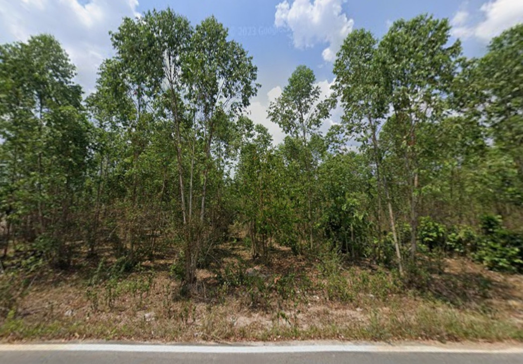 Land for Sale in Chonburi, 25 Rai 1 Ngan 84 Sq.w., near Ban Nong Phai Kaeo School