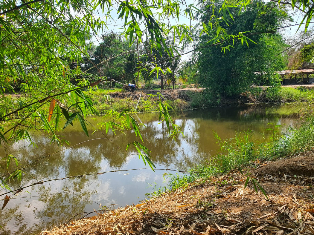 ขาย ที่ดิน เขาใหญ่ ต.​คลองม่วง​ อ.ปากช่อง 12 ไร่ ติดคลอง มีน้ำไหลผ่านตลอดปี – รูปที่ 3
