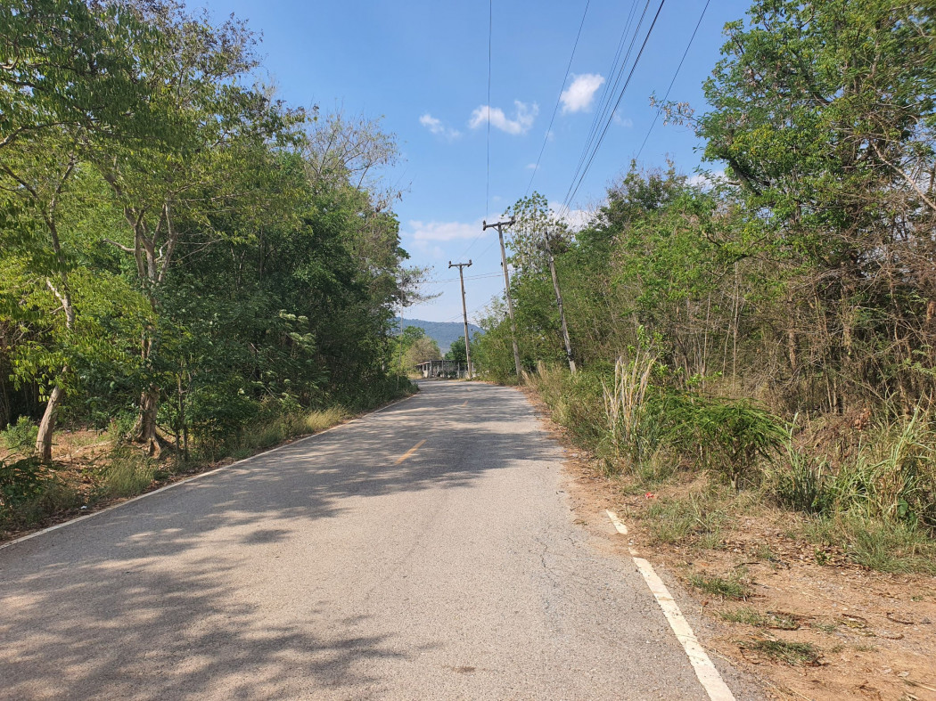 ขาย ที่ดิน เขาใหญ่ ต.​คลองม่วง​ อ.ปากช่อง 36 ไร่ ​ที่ติดคลอง มีน้ำไหลผ่านตลอดปี – รูปที่ 3