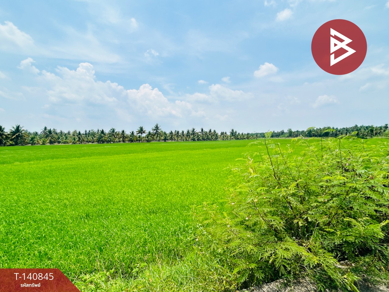 ขายด่วนที่ดิน เนื้อที่ 16 ไร่ 2 งาน 52 ตร.วา วัดเพลง ราชบุรี – รูปที่ 3
