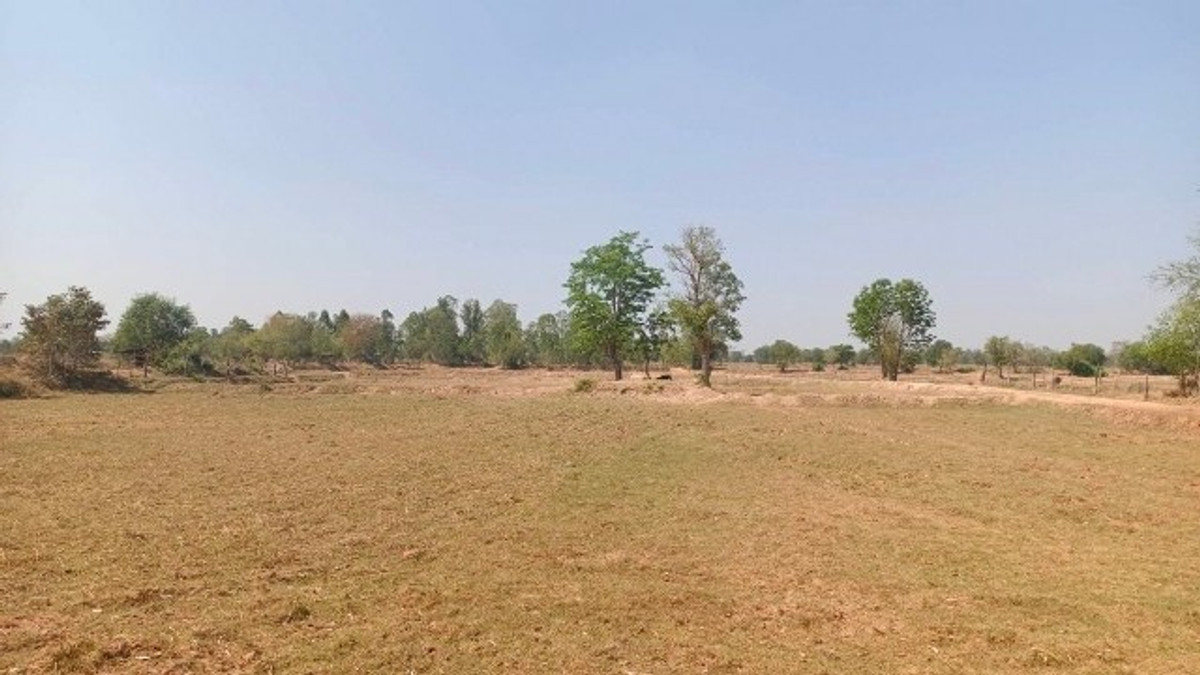 PZ1161: Cheap land for sale, area 22 rai 2 ngan 84 sq m, good location, near public roads. Han Huai Sai Subdistrict, Prathai District, Nakhon Ratchasima Province – รูปที่ 2