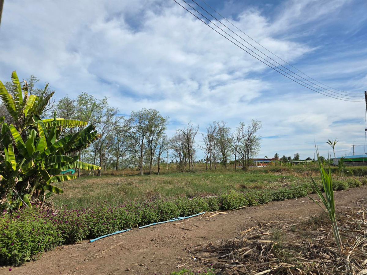 Land for sale, 201 square wah, in Laem Bua Subdistrict, Nakhon Chai Si District, Nakhon Pathom Province, same alley as Lung Nai Fishing Pond. – รูปที่ 2