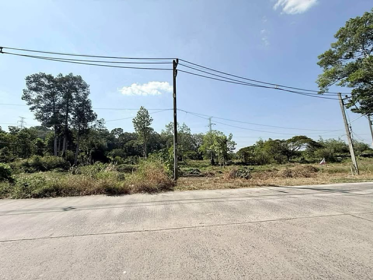 📢 Urgent sale! Land in a prime location next to the road in the heart of Ubon Ratchathani.🔥 Selling according to appraised price. Great value in this location! 📢 Urgent sale! Land in a prime location next to the road in the heart of Ubon Ratchathani.🔥 Selling according to appraised price. Great value in this location!