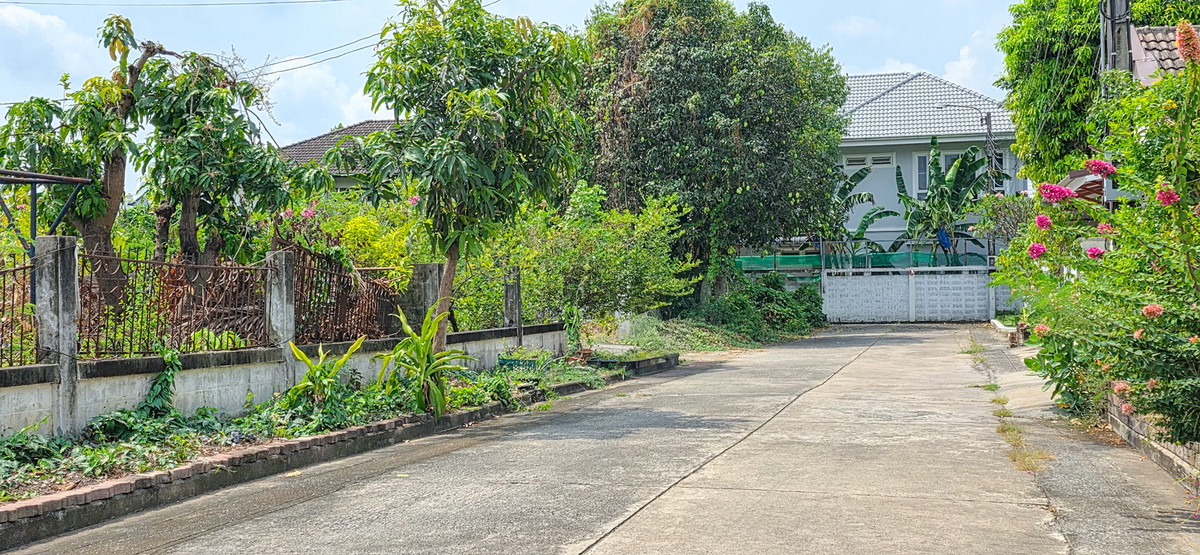 ขายที่ดิน 240 ตร.ว. ถนนบรมราชชนนี 42 ตลิ่งชัน กรุงเทพฯ – รูปที่ 4