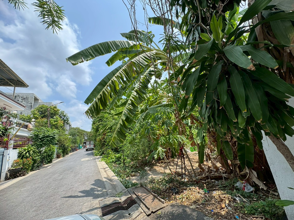 Empty land for sale Soi Wachiratham Sathit 51, can be divided into 120 sq m (only 12 million baht) (N.2088) Empty land for sale Soi Wachiratham Sathit 51, can be divided into 120 sq m (only 12 million baht) (N.2088)
