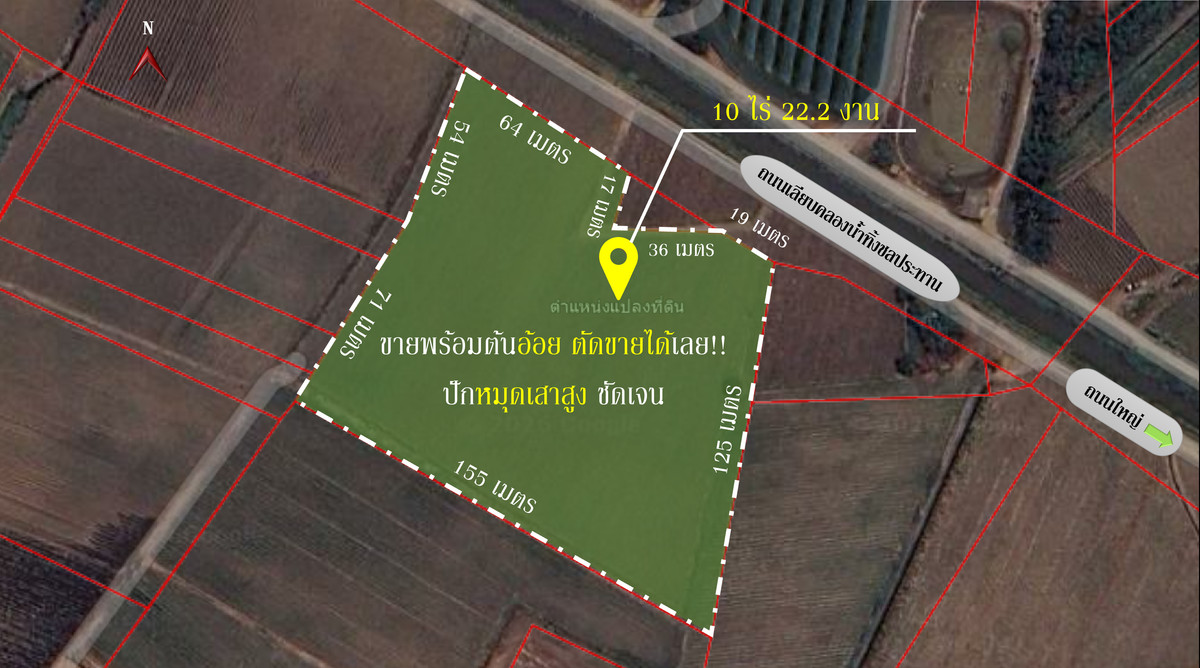 🌿 Land for sale in Suphanburi, 10 rai, next to an irrigation canal 💰 with sugarcane fields, ready to harvest and sell immediately! 🌿 Land for sale in Suphanburi, 10 rai, next to an irrigation canal 💰 with sugarcane fields, ready to harvest and sell immediately!