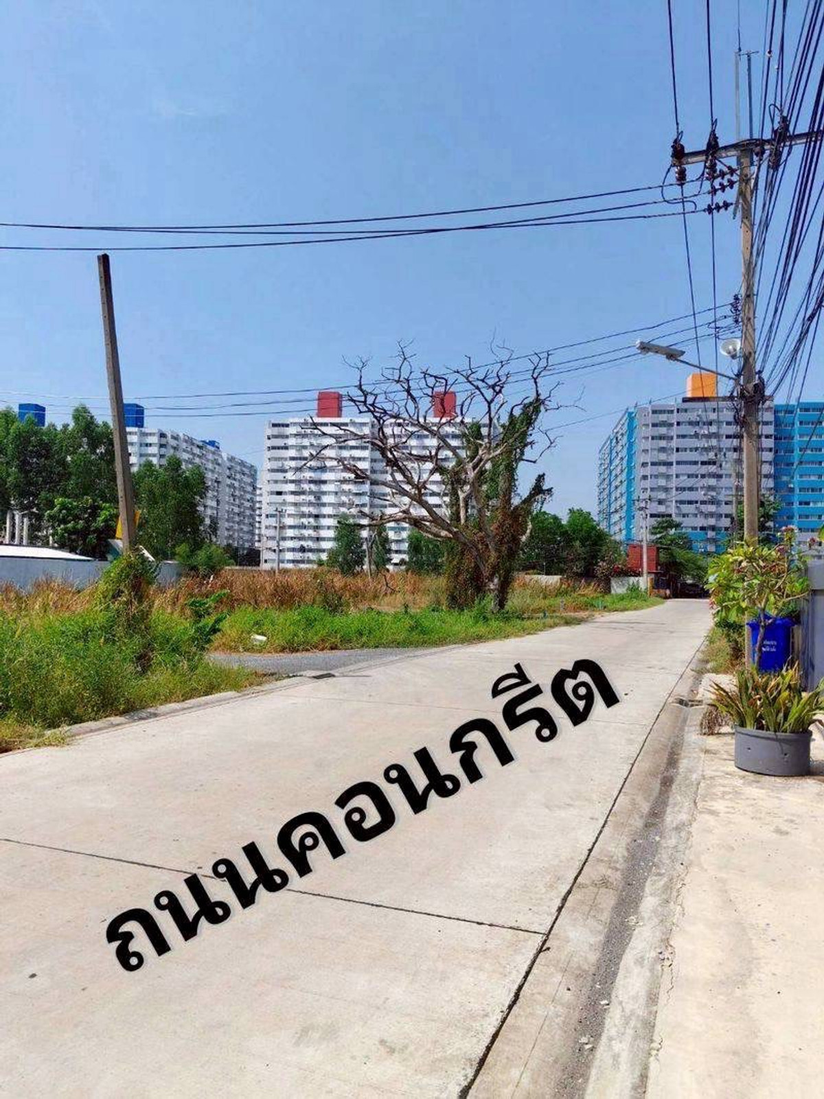 ❗️Urgent sale, cheap sale, land already filled in, Muang Thong, area 112 sq m, fence next to Muang Thong Thani. – รูปที่ 4