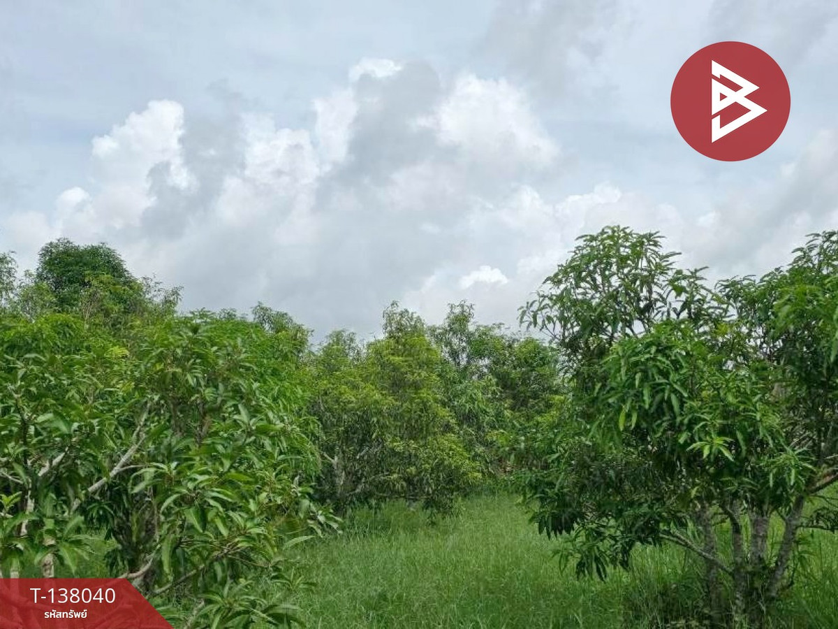 ขายที่ดิน เนื้อที่ 9 ไร่ 44 ตร.วา ท่าใหม่ จันทบุรี – รูปที่ 4