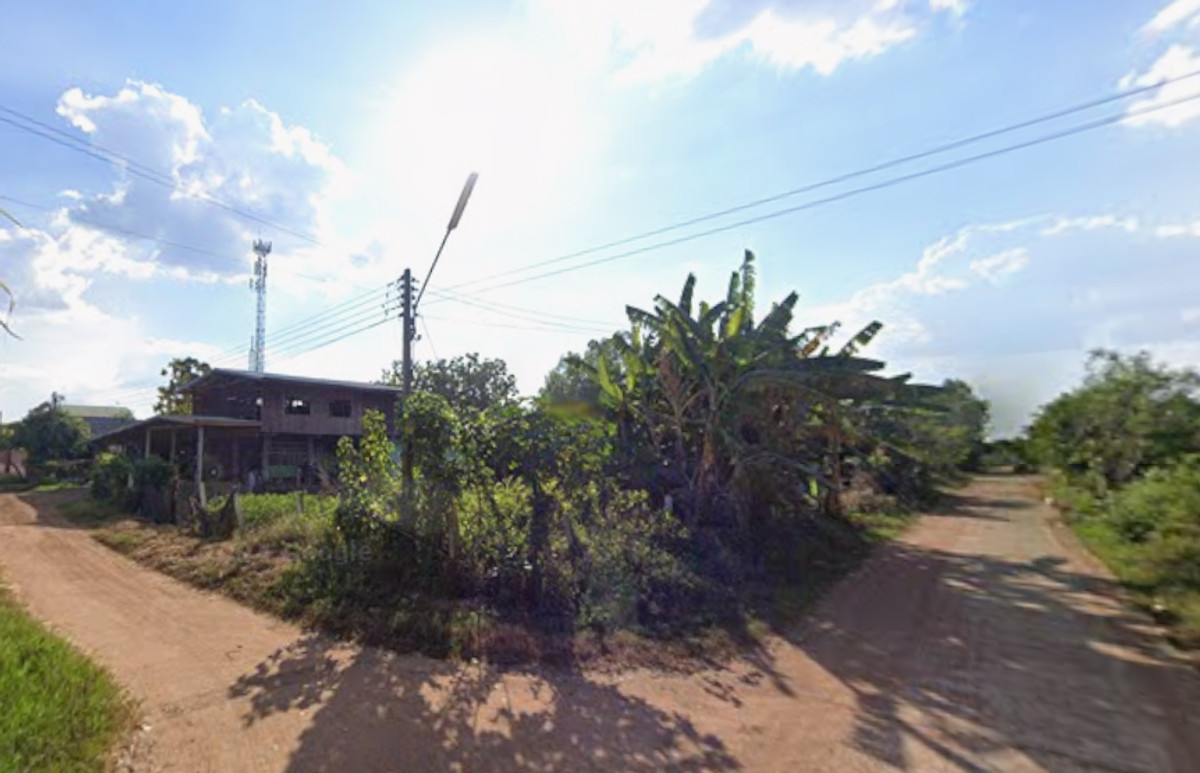 ขายที่ดิน อ.ศรีเทพ เพชรบรูณ์ แปลงสวย 4เหลี่ยมผืนผ้า อยู่แปลงมุม  153 ตร.ว. – รูปที่ 2