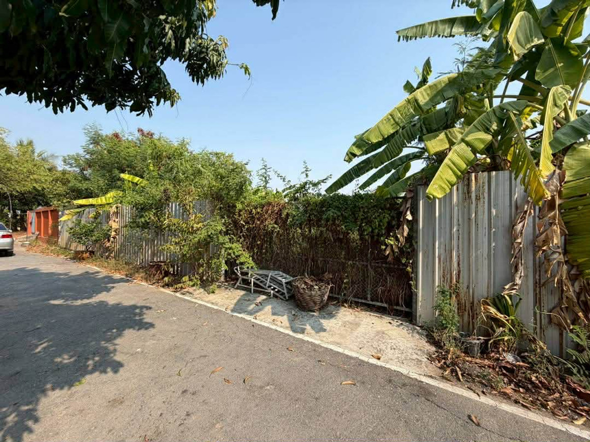 Empty land for sale, already fenced and filled. In Soi Wat Lat Pla Duk, Nonthaburi Empty land for sale, already fenced and filled. In Soi Wat Lat Pla Duk, Nonthaburi