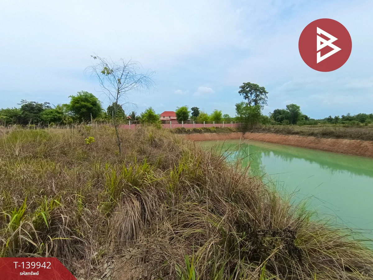 Land for sale, area 3 rai 1 ngan, Phon Charoen, Bueng Kan Land for sale, area 3 rai 1 ngan, Phon Charoen, Bueng Kan