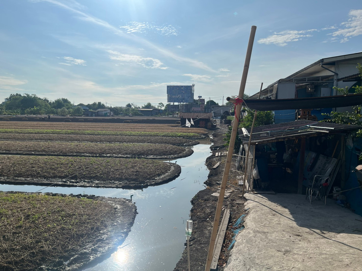 ขายที่ดินถนนบ้านกล้วยไทรน้อย เนื้อที่ 10 ไร่ – รูปที่ 3