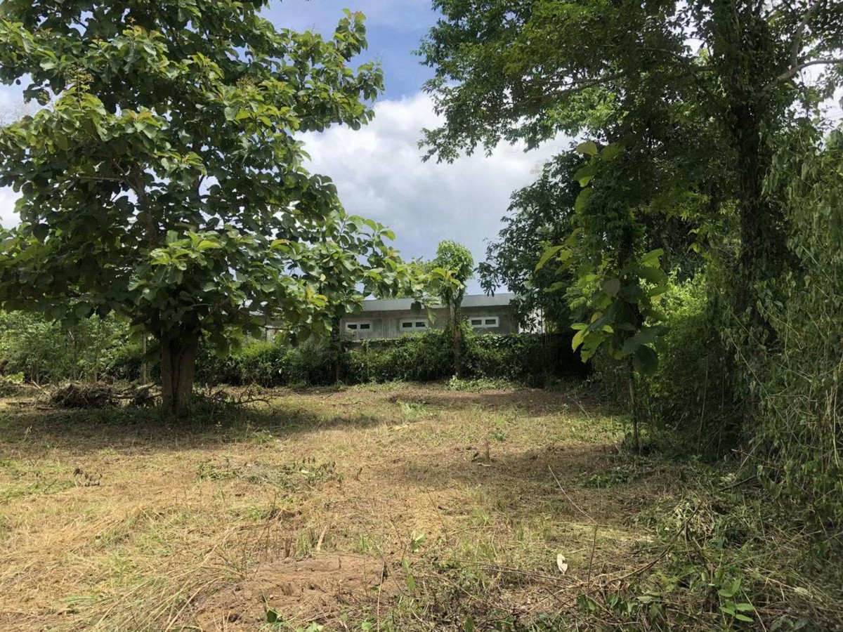 *For sale* Land next to a stream, Huai Khao Kho, Phetchabun Province, suitable for a resort. vacation home Price is only 4 million baht per rai. – รูปที่ 2
