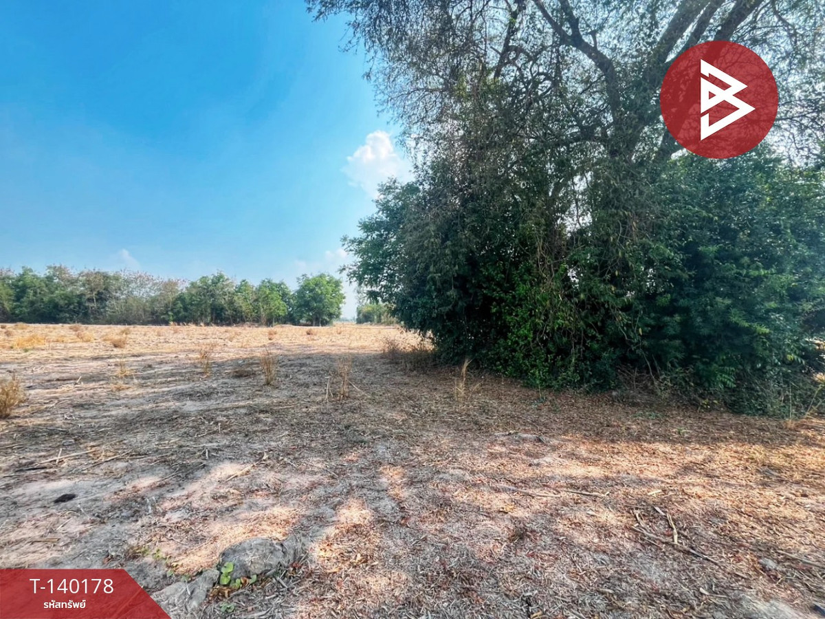 Land for sale, area 36 rai 1 ngan 69.1 sq m, U Thong, Suphanburi. – รูปที่ 3