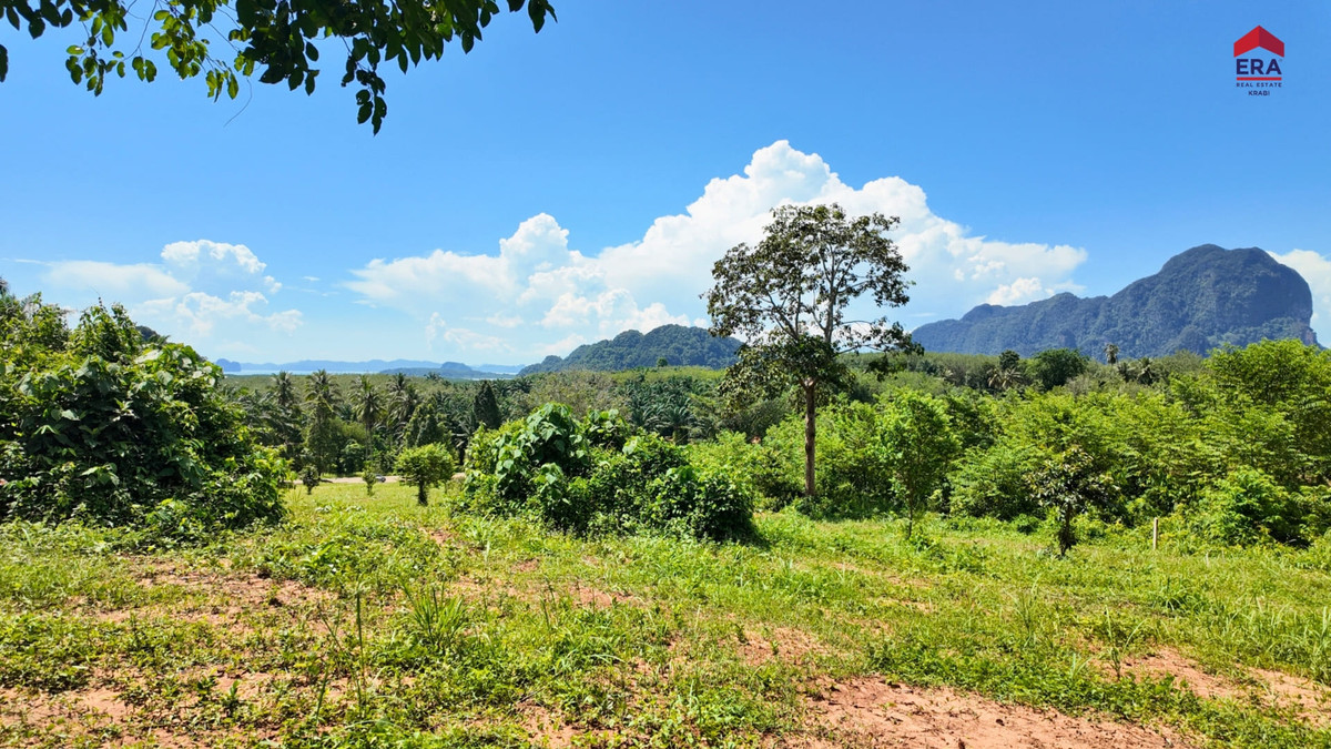 Elevated Sea View Land — Prime Location “Nong Thale” Krabi, กระบี่ – รูปที่ 4