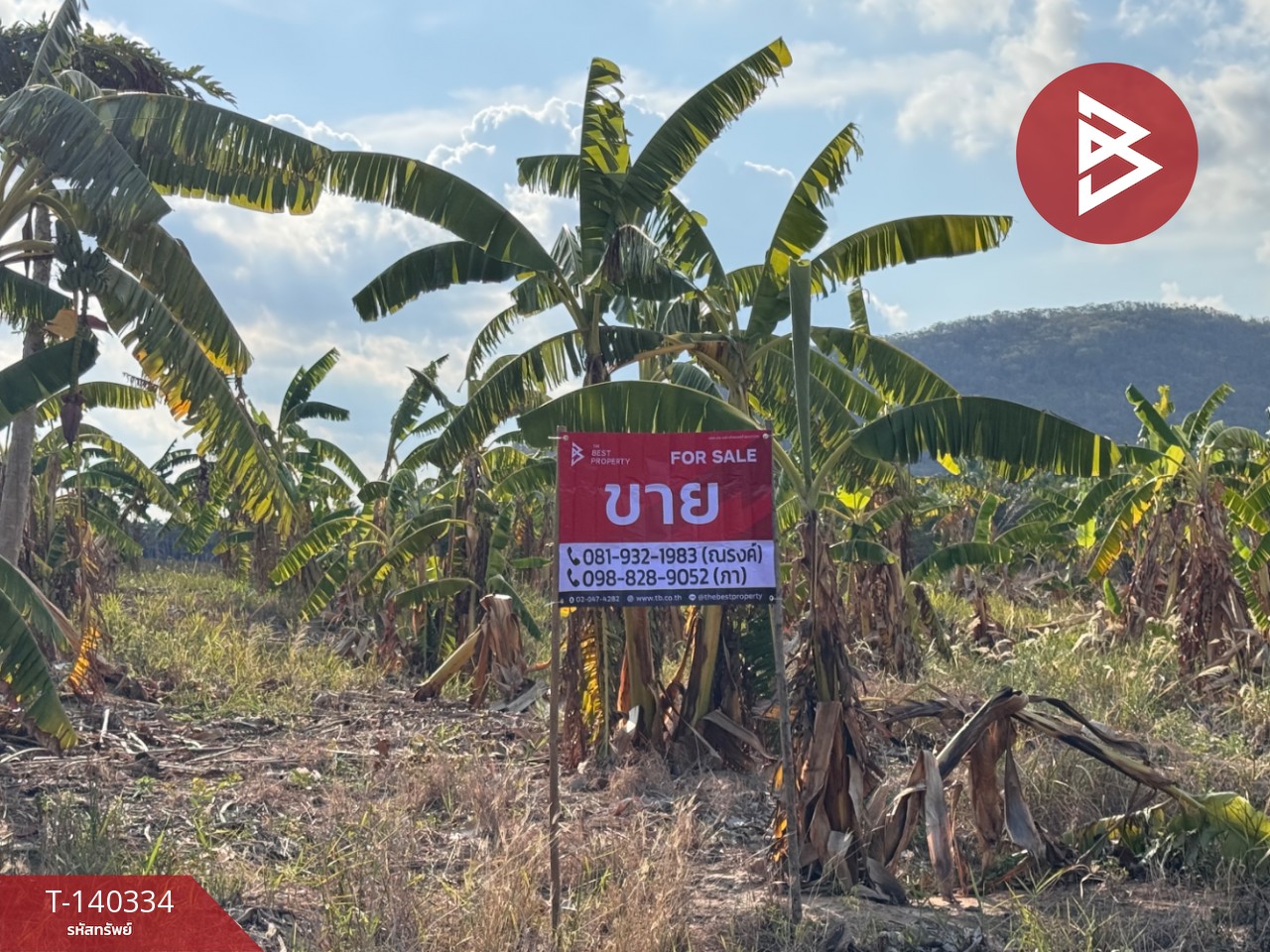 Land for sale, area 4 rai 3 ngan 49 sq m, Bo Nok, Prachuap Khiri Khan. Land for sale, area 4 rai 3 ngan 49 sq m, Bo Nok, Prachuap Khiri Khan.