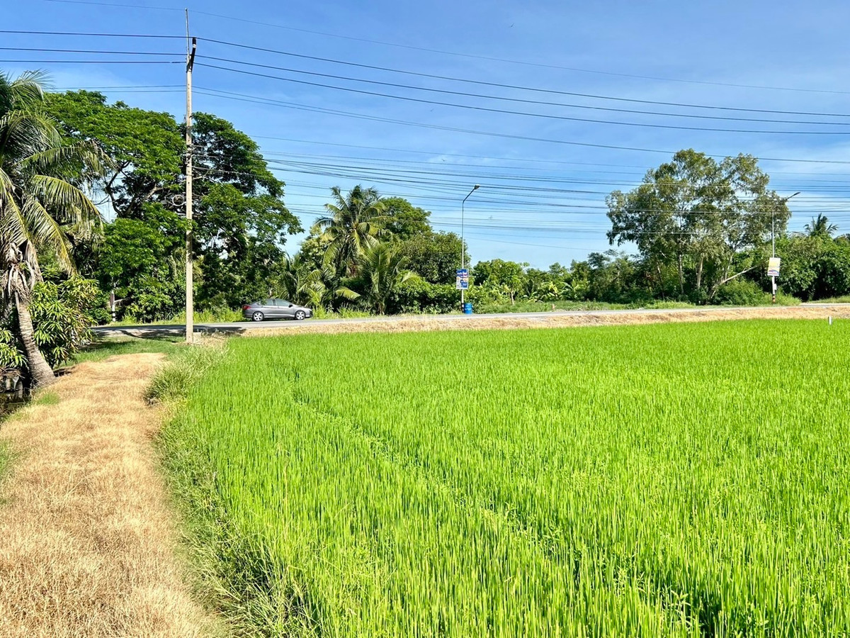 Rare good item, Khlong 8 land, area 25 rai 1 ngan 93.6 square wa. – รูปที่ 3