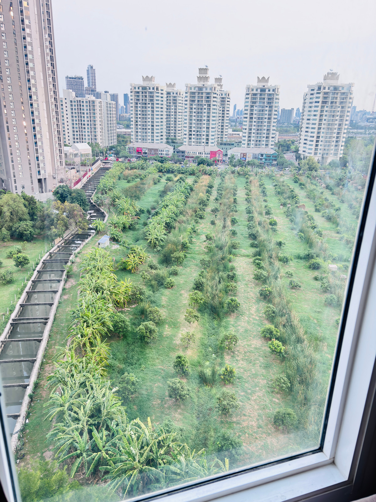 urgent!!! For rent, good price, for sale Sale Condo
