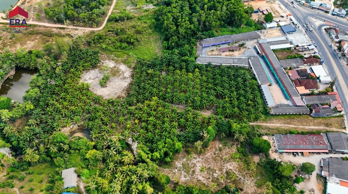 Prime Development Land Near the Beach – Krabi, กระบี่ – รูปที่ 3
