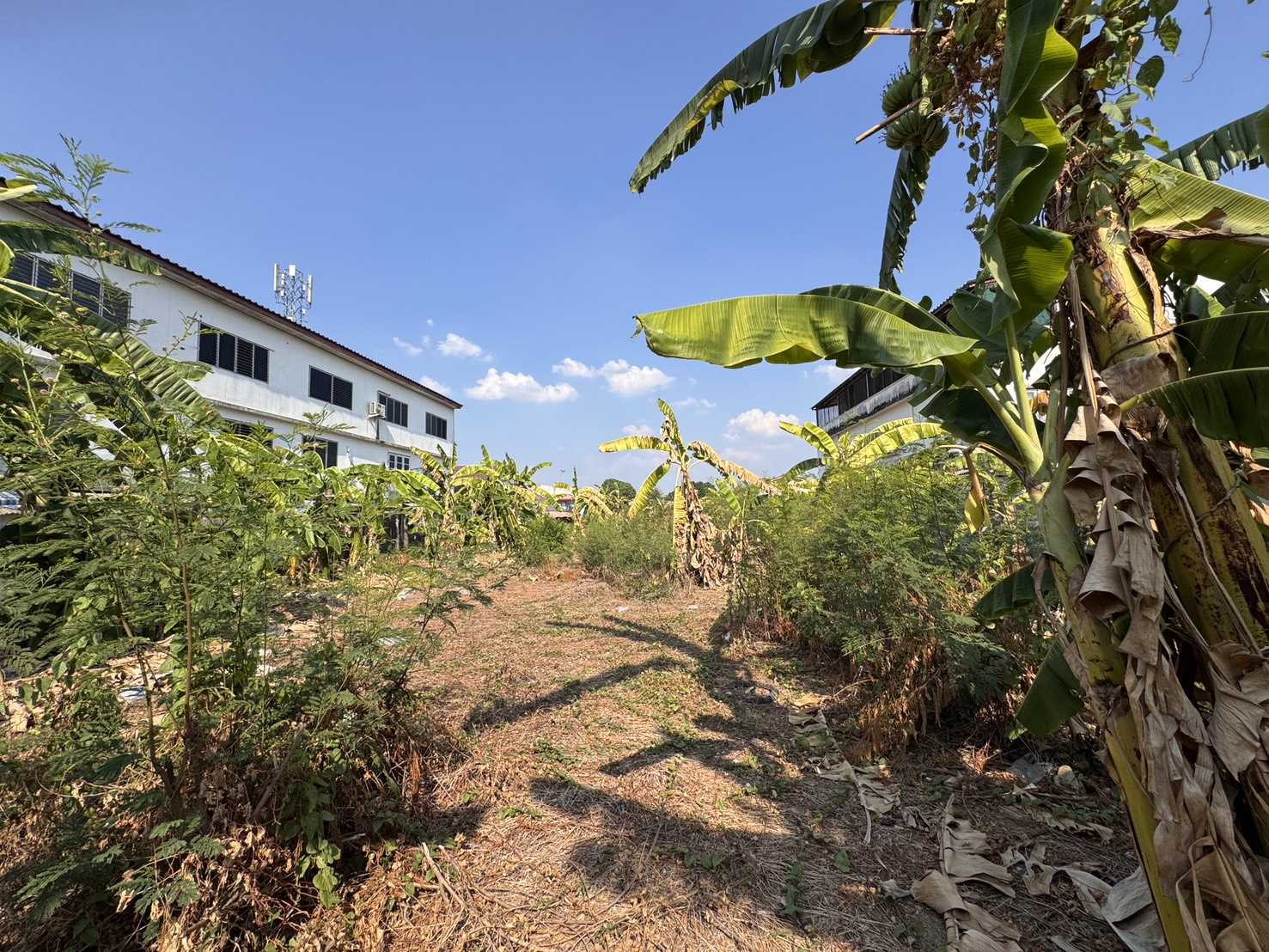 Empty land already filled in Near Central Nakhon Sawan – รูปที่ 2