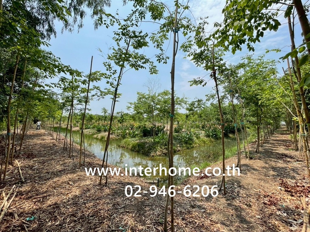 ที่ดินเปล่า 3 ไร่ ที่ดิน ใกล้การไฟฟ้าส่วนภูมิภาคหนองเสือ ซอยเทศบาล6 ถนนรังสิต-นครนายก หนองเสือ ปทุมธานี – รูปที่ 3