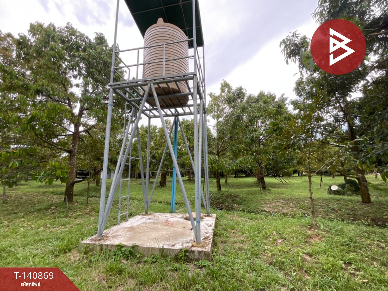 Land for sale, area 3 rai, Makham, Chanthaburi – รูปที่ 4