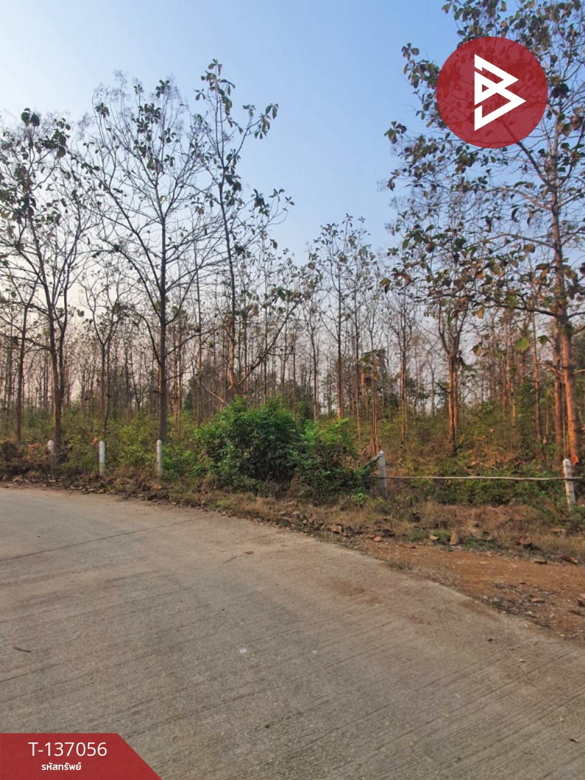 Land for sale, area 3 rai 1 ngan 73 square wah, Na Kaeo Subdistrict, Ko Kha District, Lampang Province. Land for sale, area 3 rai 1 ngan 73 square wah, Na Kaeo Subdistrict, Ko Kha District, Lampang Province.