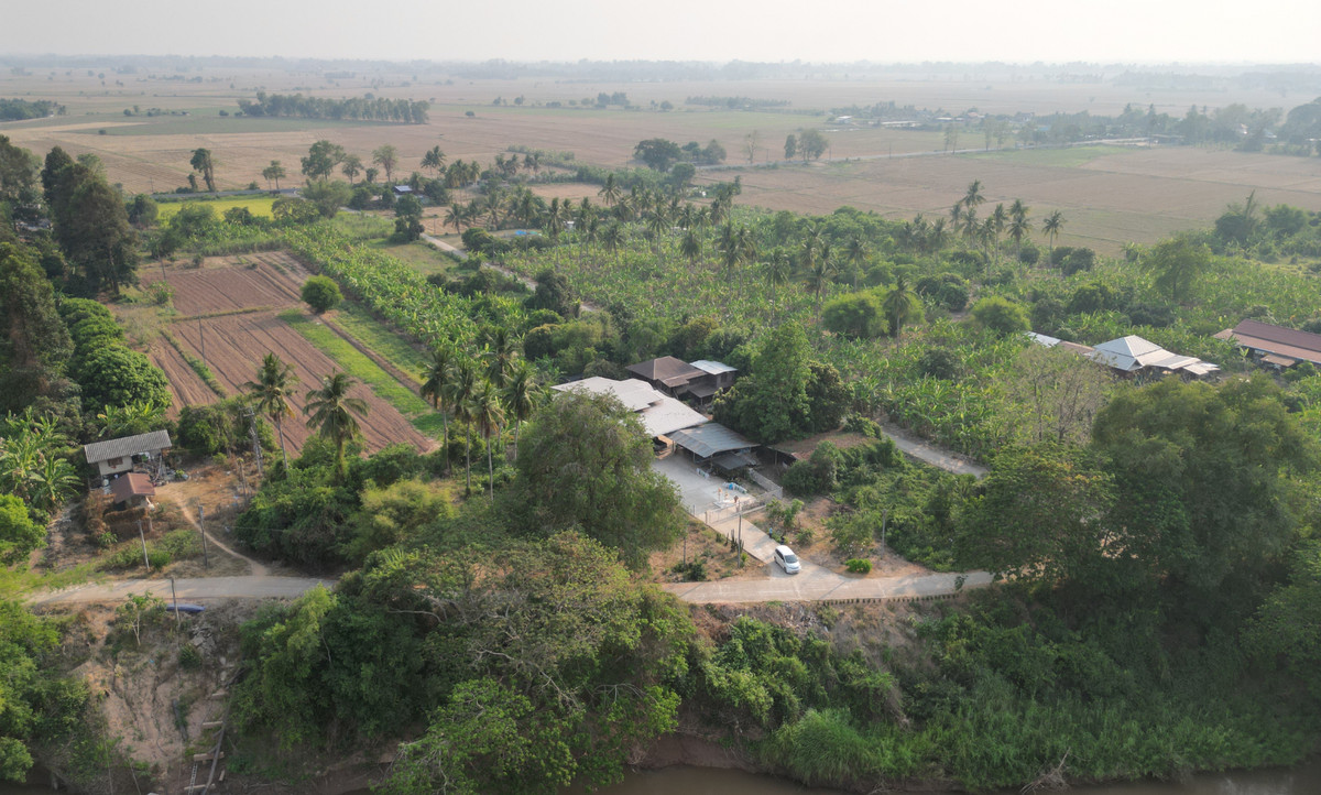 ขายที่ดินติดแม่น้ำน่าน 2 ไร่กว่า บรรยากาศธรรมชาติ เหมาะสร้างบ้านสวน – รูปที่ 4