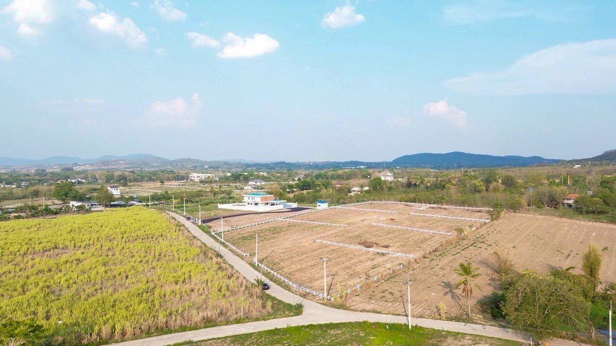 ขายที่ดิน เขาใหญ่ หนองสาหร่าย ปากช่อง, นครราชสีมา (8 แปลง) ขายที่ดิน เขาใหญ่ หนองสาหร่าย ปากช่อง, นครราชสีมา (8 แปลง)