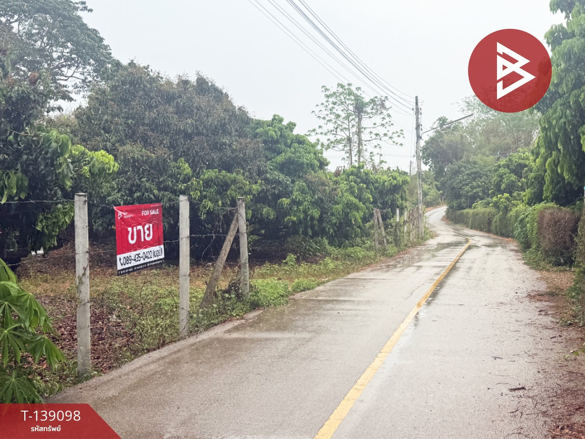 Longan orchard land for sale, area 1 rai 2 ngan 11 square wah, Wiang Nong Long, Lamphun, location next to the road. – รูปที่ 2