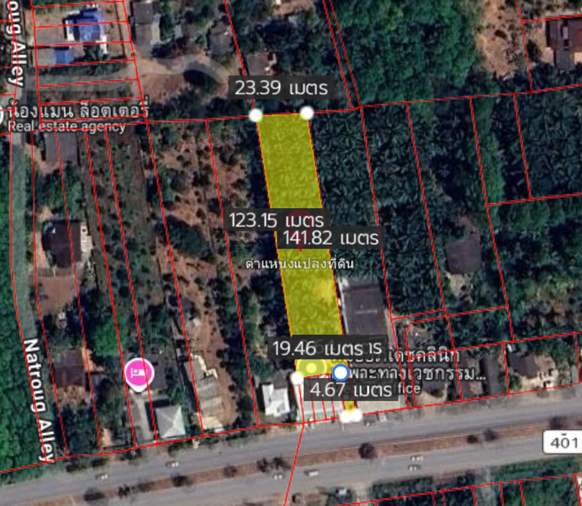 Palm Orchard Land for Sale Main Highway Location Surat Thani Palm Orchard Land for Sale Main Highway Location Surat Thani