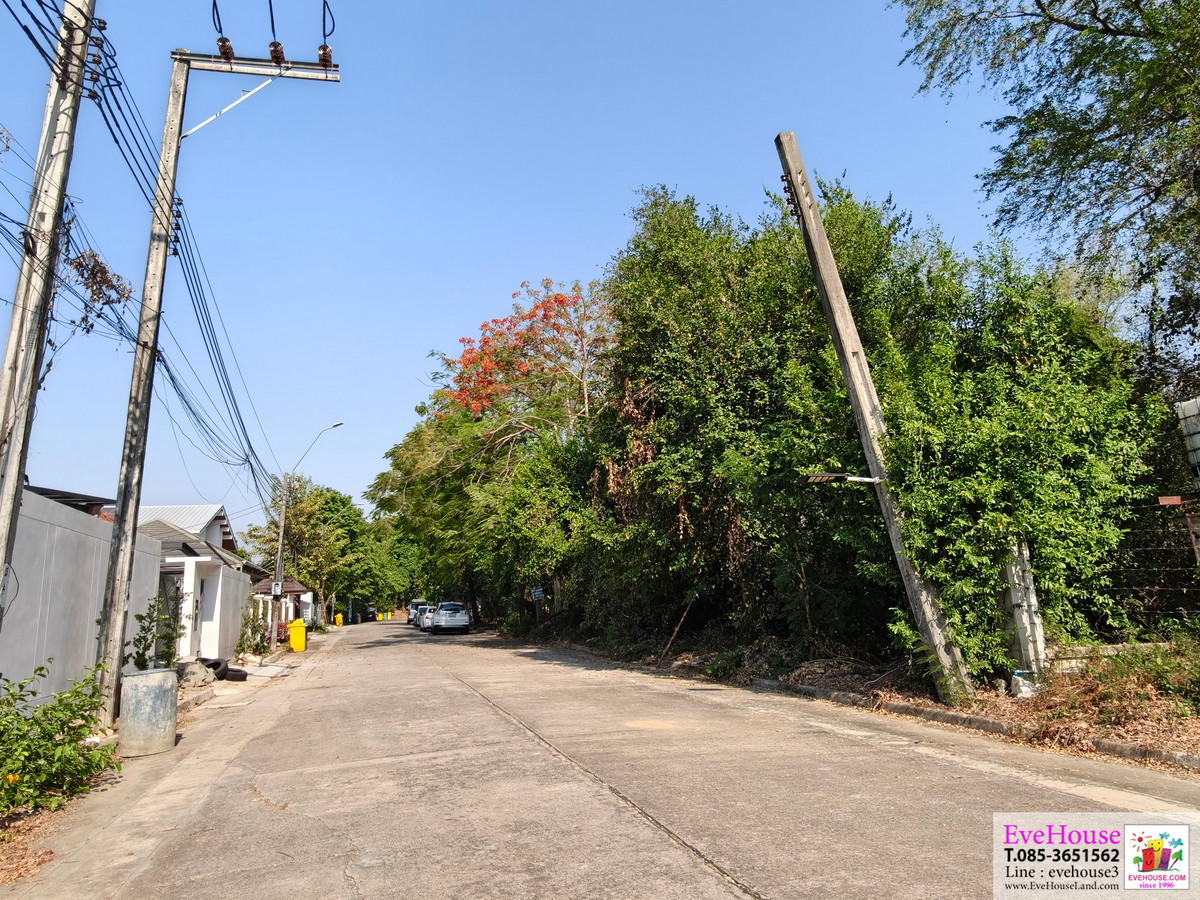 ขายที่ดินเปล่า หมู่บ้าน บ้านและสวน ลากูน ถ.พรานนก - พุทธมณฑล สาย 4 ใกล้ เดอะพาซิโอ พาร์ค กาญจนาภิเษก 150 ตร.วา 9 ล้านบาท ( 60,000/ตร.วา ) ขายที่ดินเปล่า หมู่บ้าน บ้านและสวน ลากูน ถ.พรานนก - พุทธมณฑล สาย 4 ใกล้ เดอะพาซิโอ พาร์ค กาญจนาภิเษก 150 ตร.วา 9 ล้านบาท ( 60,000/ตร.วา )