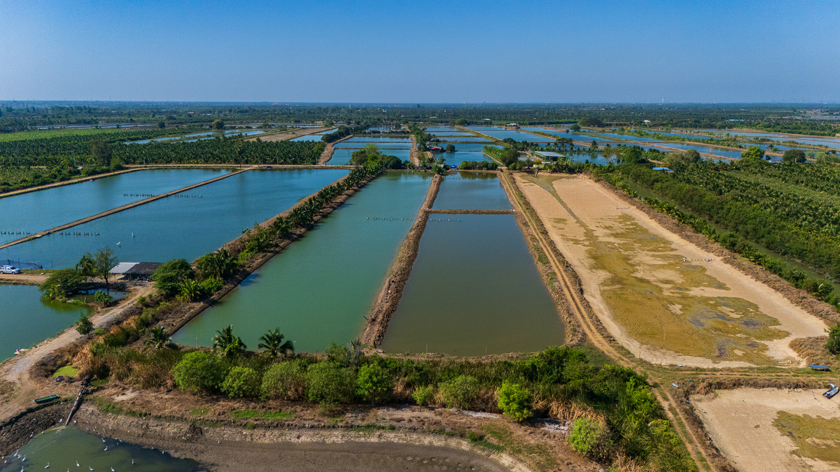 Agricultural land for sale, Bo-Kung, Nakhon Pathom Province. Mueang Nakhon Pathom District – รูปที่ 4
