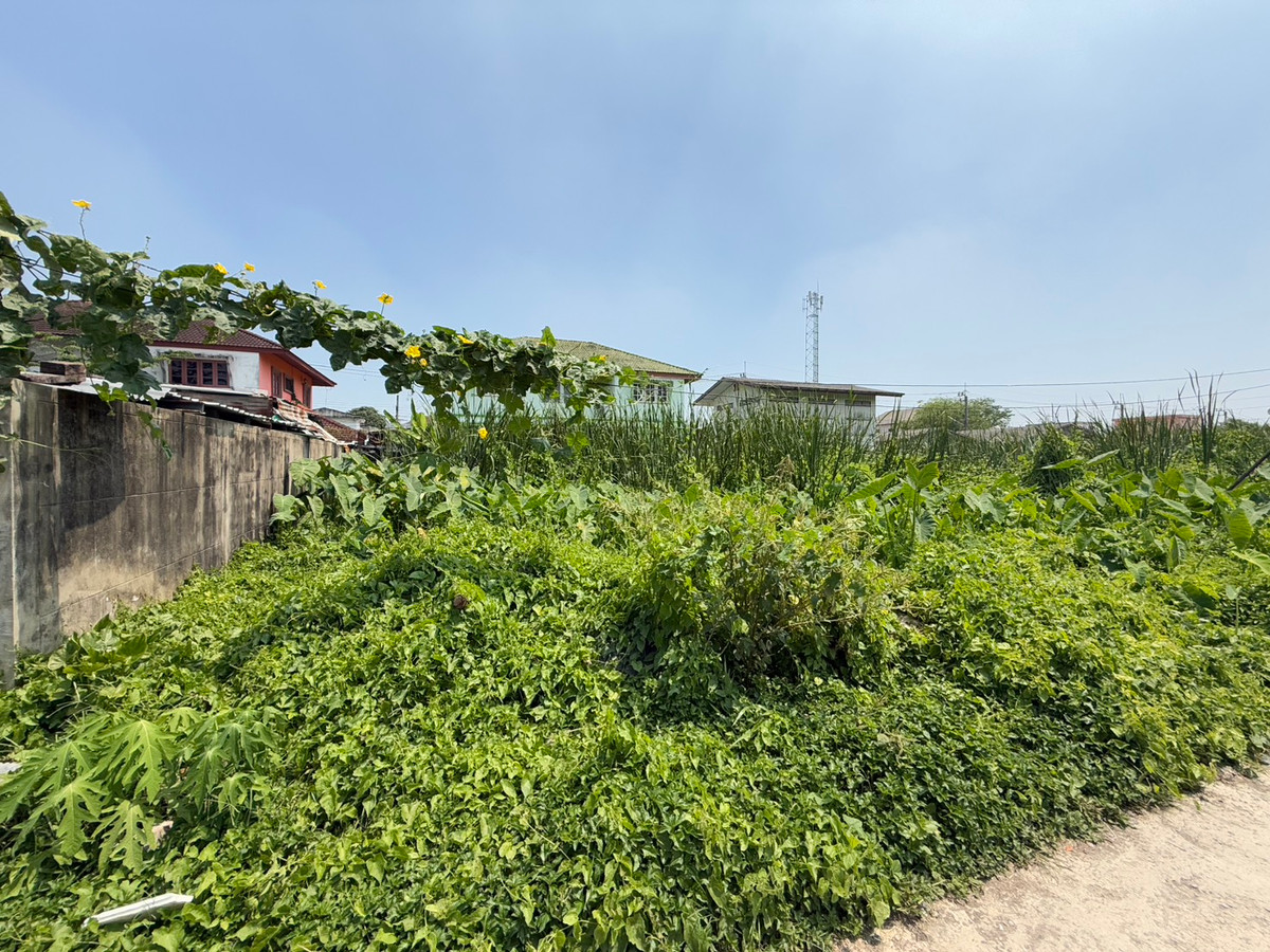 ขายที่ดิน 98 ตร.วา ถ.บางแวก ภาษีเจริญ ใกล้ตลาดสี่แยกทศกัณฐ์ – รูปที่ 4