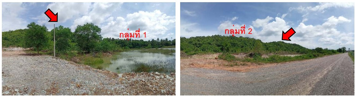 ขายที่ดิน 12-1-72 ไร่ ต.กำเนิดนพคุณ อ.บางสะพาน จ.ประจวบคีรีขันธ์ – รูปที่ 2