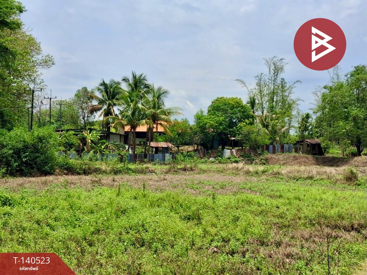 ขายที่ดิน เนื้อที่ 6 ไร่ 47.5 ตร.วา ท่าปลา อุตรดิตถ์ – รูปที่ 2