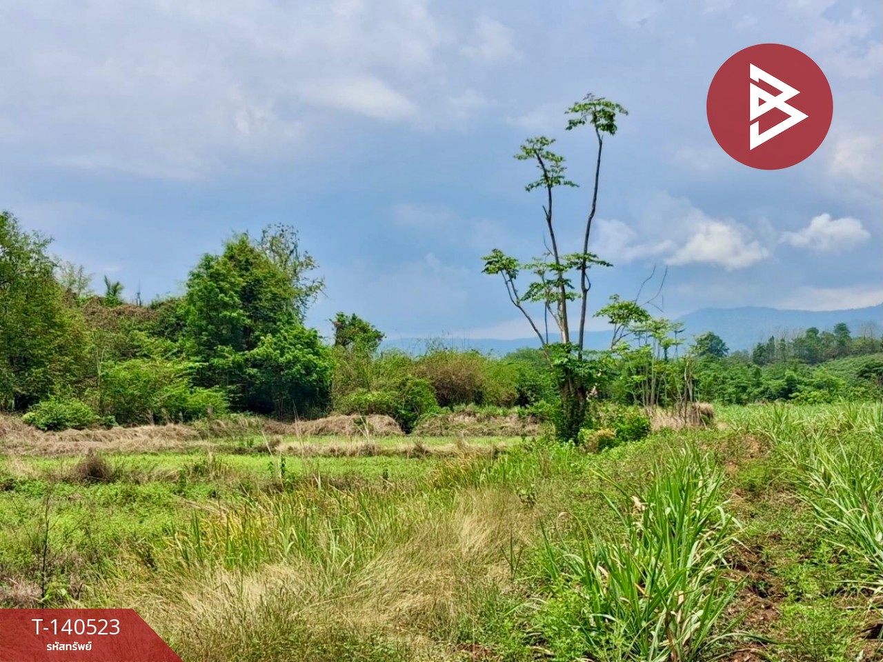 ขายที่ดิน เนื้อที่ 6 ไร่ 47.5 ตร.วา ท่าปลา อุตรดิตถ์ – รูปที่ 3