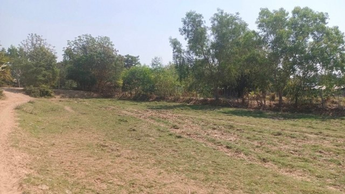 PZ1161: Cheap land for sale, area 22 rai 2 ngan 84 sq m, good location, near public roads. Han Huai Sai Subdistrict, Prathai District, Nakhon Ratchasima Province – รูปที่ 3