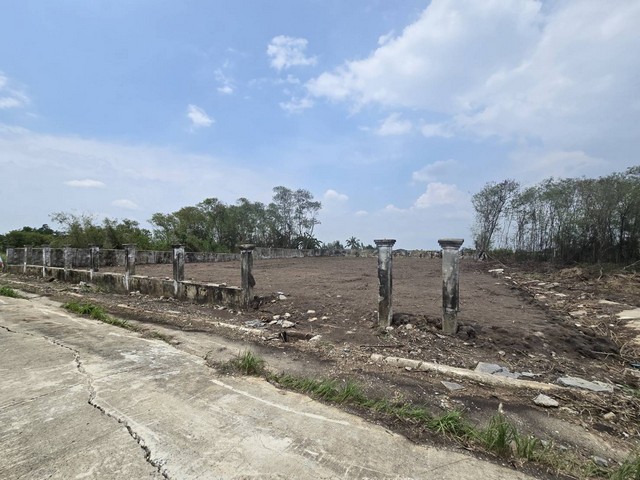 ขายที่ดินเปล่า 345 ตร.ว กฤษฎานคร 25 ซอยนายพล 5/11 ถมแล้ว บรรยากาศดี ใกล้สนามกอล์ฟธานนท์ – รูปที่ 4