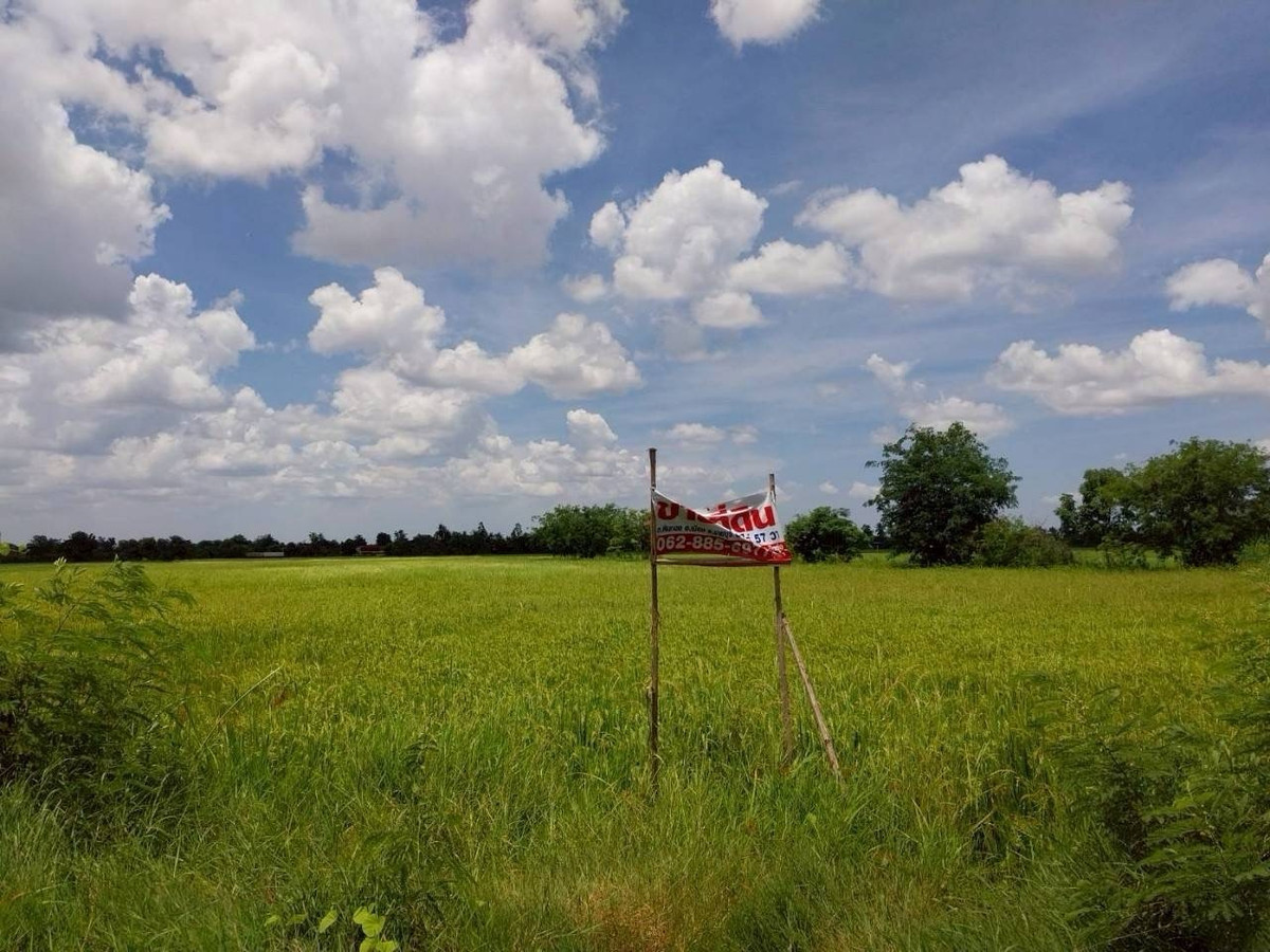Land for sale in Ratchaburi – รูปที่ 2