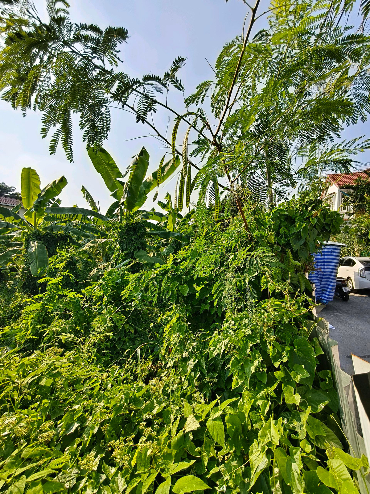 🏡 ขายด่วน! ที่ดินถมแล้ว ทำเลทอง ลาดพร้าว 101 แยก 42ทำเลศักยภาพ เหมาะสร้างบ้าน / โกดัง / ออฟฟิศ / ลงทุนระยะยาว📍 พิกัด: ซอยลาดพร้าว 101 แยก 42 แขวงคลองจั่น เขตบางกะปิ กรุงเทพฯ💰 ราคาพิเศษเพียง 1,925,000 บาท(เฉลี่ยเพียง 35,000 บาท/ตร.ว. เท่านั้น!) – รูปที่ 4