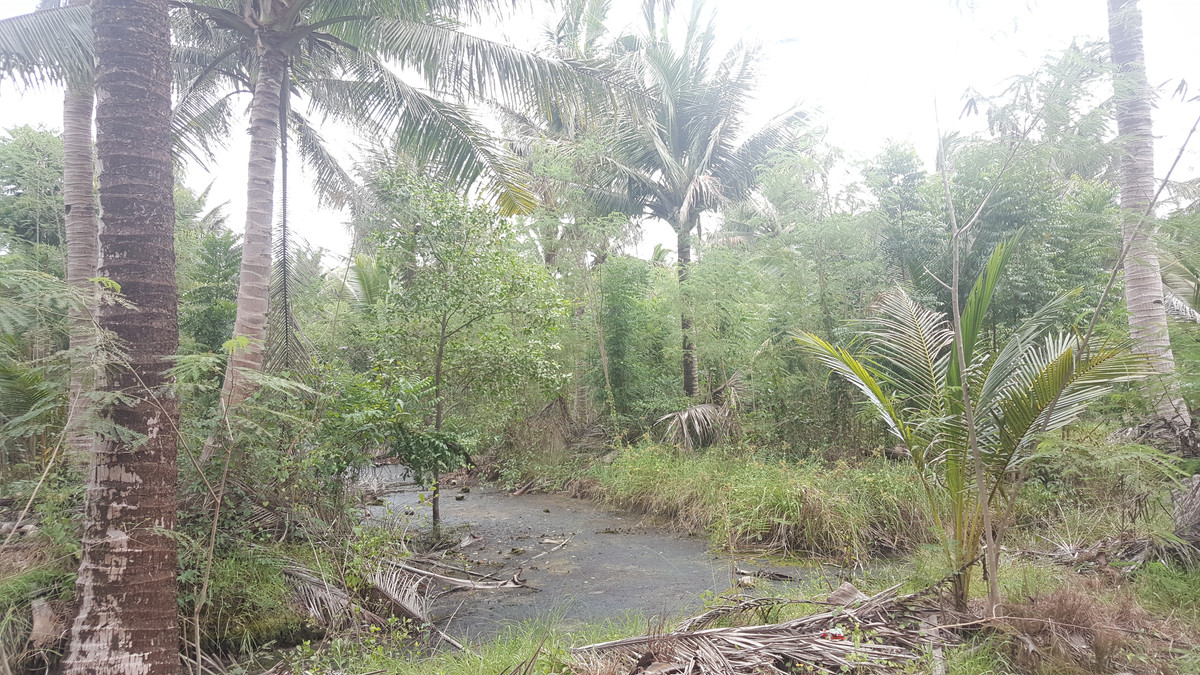 Land for sale in Mae Klong, 2-2-77 rai, near Tha Kha Floating Market. Soi Mu Yai Phatthana, Nang Takhian Subdistrict – รูปที่ 3