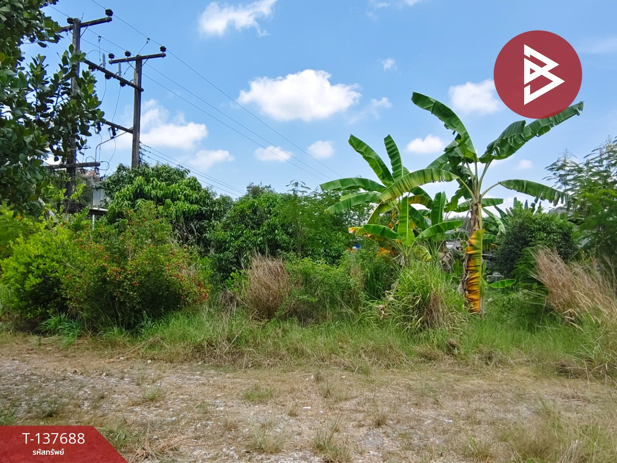 Land for sale, area 80 sq m, Ban Khai, Rayong. – รูปที่ 4